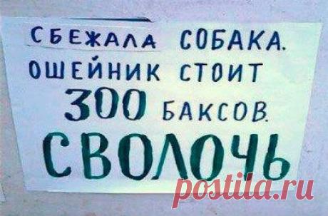 Юмор | Записи в рубрике Юмор | Каждый из нас — чья-то любовь всей жизни...