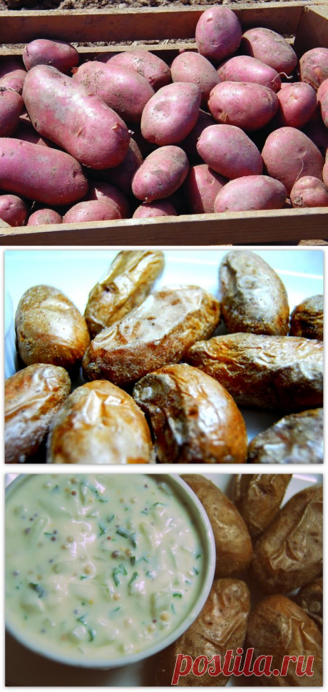ЗАПЕЧЕННАЯ КАРТОШКА С СОЛЬЮ + СОУС, ЛУКОВЫЙ