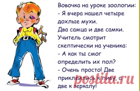 Анекдоты: -Вовочка, разве это помощь маме?
Здравствуйте уважаемые читатели. Анекдоты про Вовочку и его мучения в школе. ********** С Яндекс картинки -Дети, завтра на урок труда нужно принести кусочек натурального меха. Вовочка тихо себе под нос: -И где же его взять?. -Что ты сказал Вовочка? -Да говорю писец как попал мамин воротник с пальто. ********** -Дети, на улице зима и мы […]
Читай пост далее на сайте. Жми ⏫ссылку выше