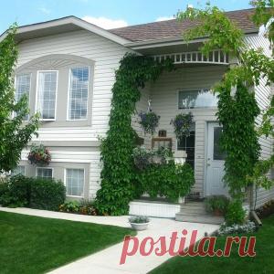 Все секреты оформления палисадника