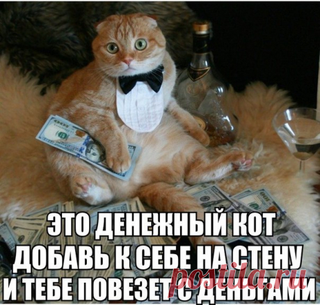 Рецепты и кулинария