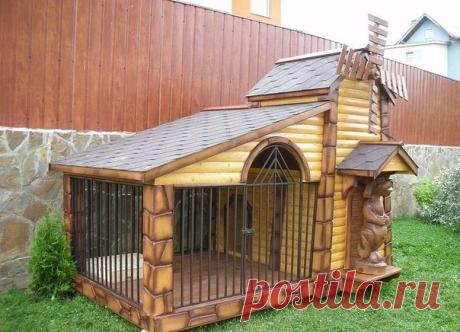 Креативная будка для домашнего любимца.

Оцените идею хозяина!