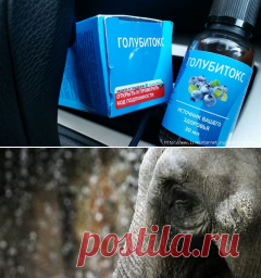 Где купить капли Голубитокс - официальный сайт