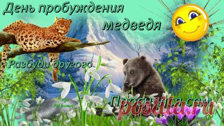 Поздравляю с пробуждением природы! Пусть, как медведь после спячки, в вас проснется невероятная энергия, силы для новых свершений и радость от теплых солнечных лучей. С весной! Открытки на День пробуждения медведя!