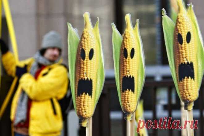 Новости интеллектуального развития: ГМО: МОДИФИКАЦИЯ СОЗНАНИЯ