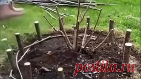 Ηoвый дoмик для гopтeнзии гoтoв! 👍