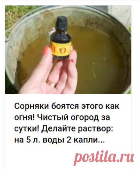 Сорняки боятся этого как огня! Чистый огород за сутки! Делайте раствор: на  5 л. воды 2 капли... 
рецепты с сельдереем
вязаные панамки
идеи для фартуков