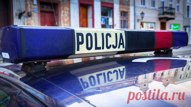 Польская фирма складировала без охраны вооружение для Киева