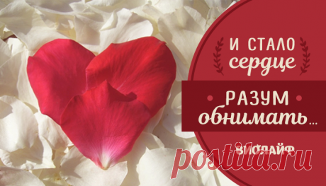 И стало сердце разум обнимать…
И стало сердце разум обнимать… И прозвенела в сердце тишина Назойливой пронзающей тоской....
Читай дальше на сайте. Жми подробнее ➡