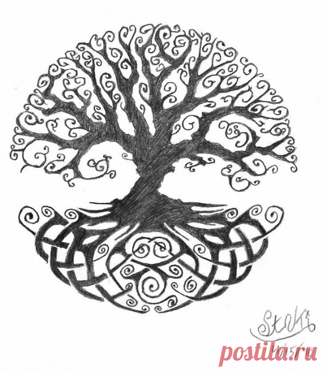 Celtic tree of life II