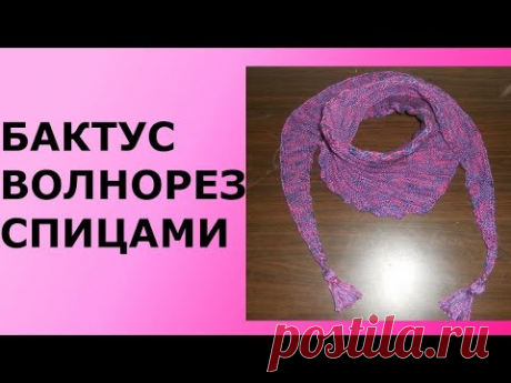 БАКТУС ВОЛНОРЕЗ СПИЦАМИ