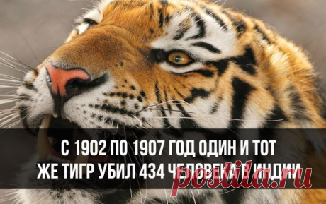 Узнай сегодня