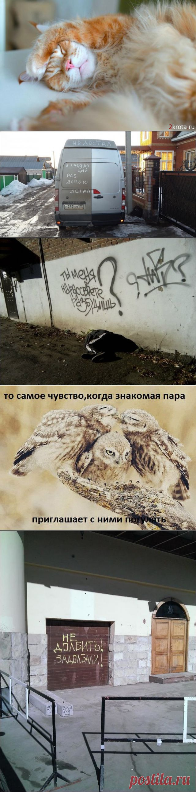 Наш позитив! | Позитив в картинках и не только