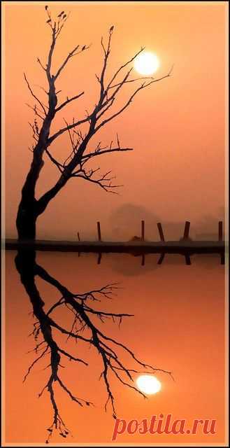 ✯ Reflections | Sunrise, Sunset