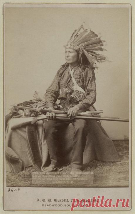 Грабила Коллекция. Grabill, John C. H., photographer.