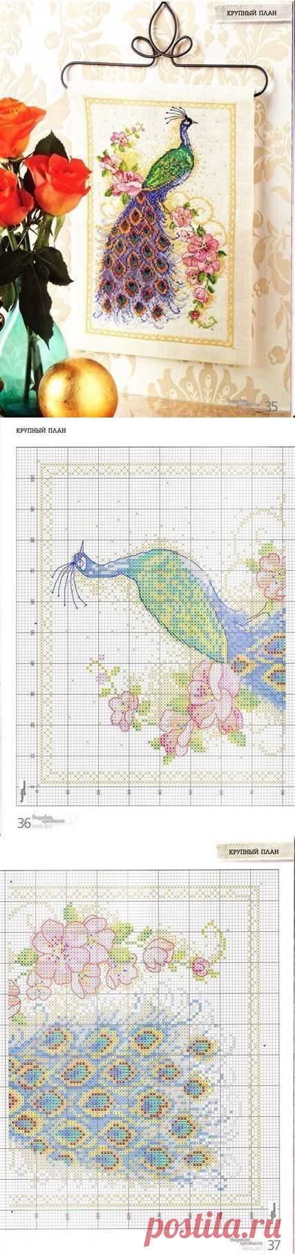 Схема вышивки павлин. Бесплатная вышивка павлина | Все о рукоделии: схемы, мастер классы, идеи на сайте labhousehold.com