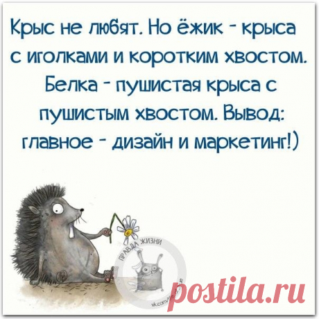 Правда Жизни | Юмор, Мотивация, Сарказм, Цитаты