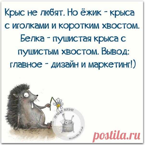 Правда Жизни | Юмор, Мотивация, Сарказм, Цитаты