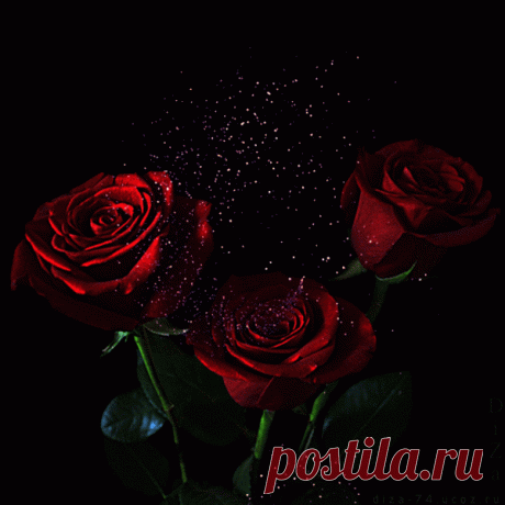 Понравившиеся мне цветы!