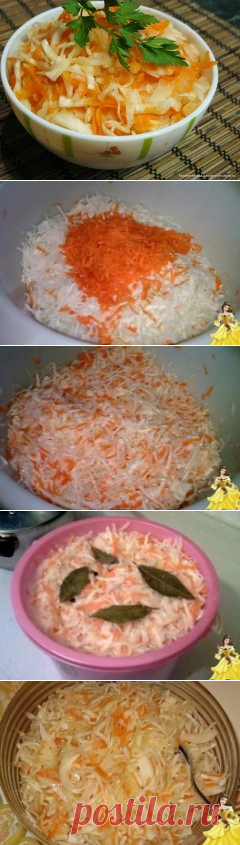 КАПУСТА ЗАСТОЛЬНАЯ