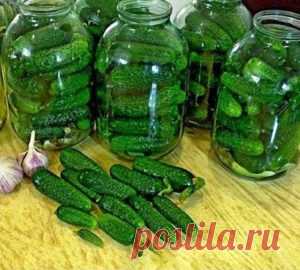 Самые проверенные рецепты - Огурцы 