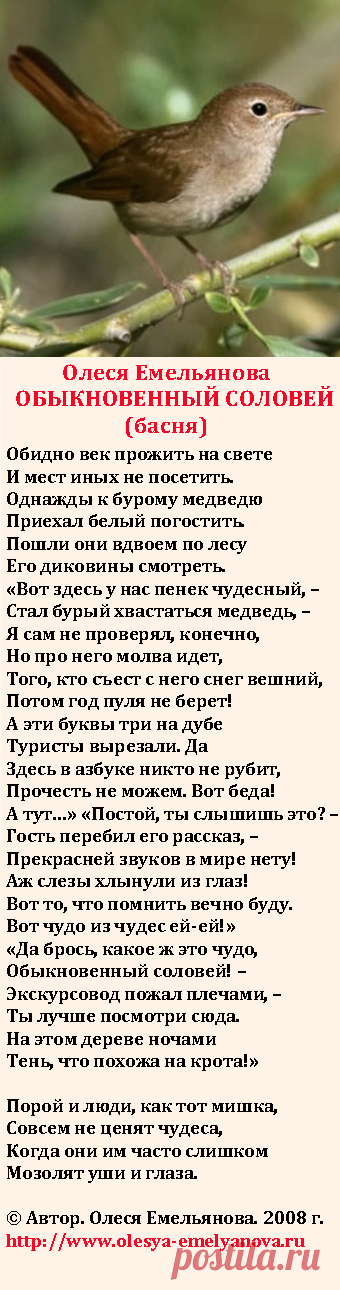 Олеся Емельянова. Обыкновенный соловей. Басня про тех, кто не видит в чудесном чудесное.
