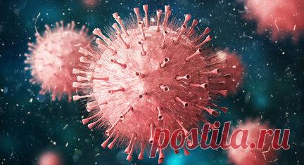 Изоляция во благо: из-за карантина начали вымирать вирусы гриппа