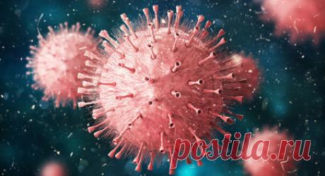 Изоляция во благо: из-за карантина начали вымирать вирусы гриппа