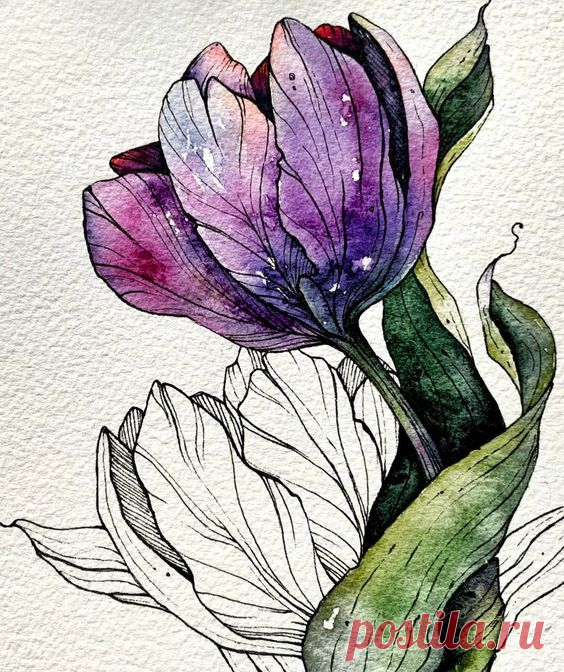 Pinterest