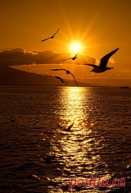 (10) Pinterest