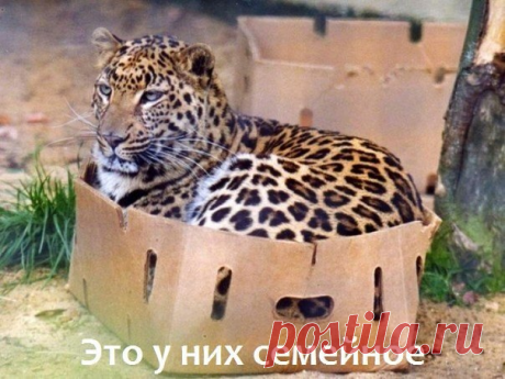 Потомственное! )))