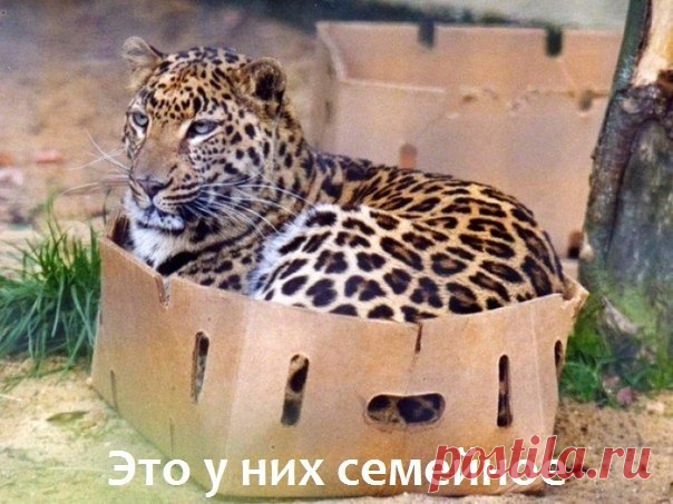 Потомственное! )))