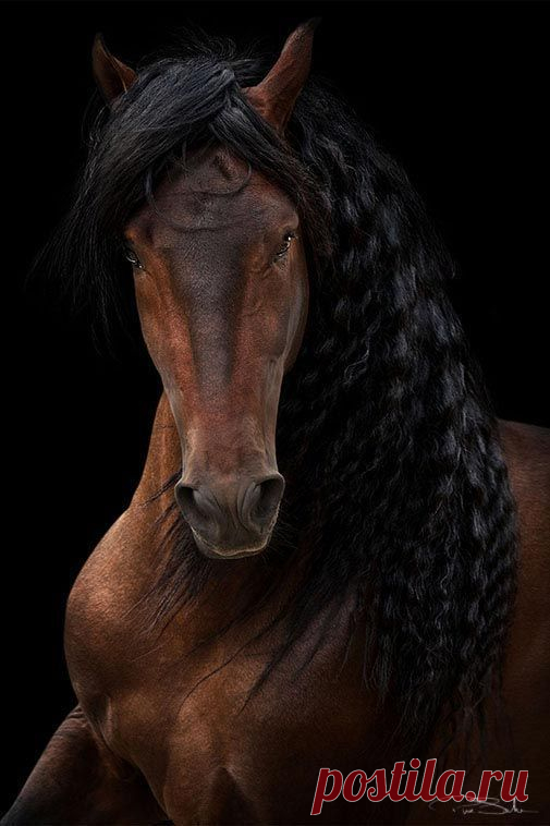 Daisy — scarlettjane22: Pepe Soho