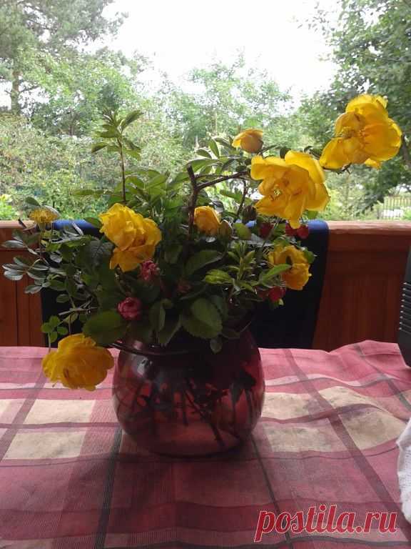 ФОТОМАСТЕРСКАЯ ПРИРОДЫ
марина кежутина