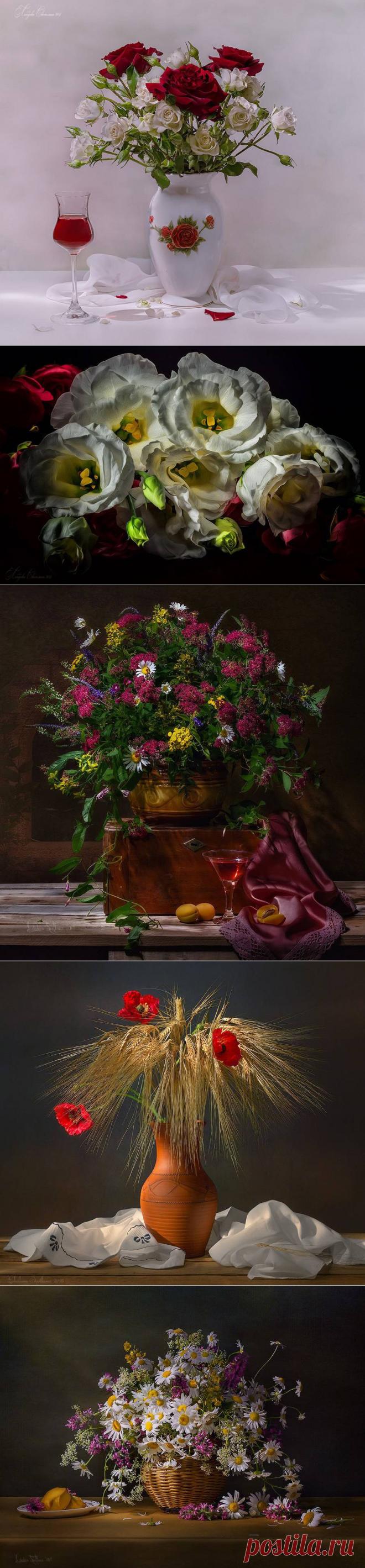 Фотонатюрморты Светланы Лебедевой