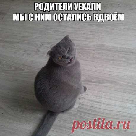 Всяко - разно 138 )))