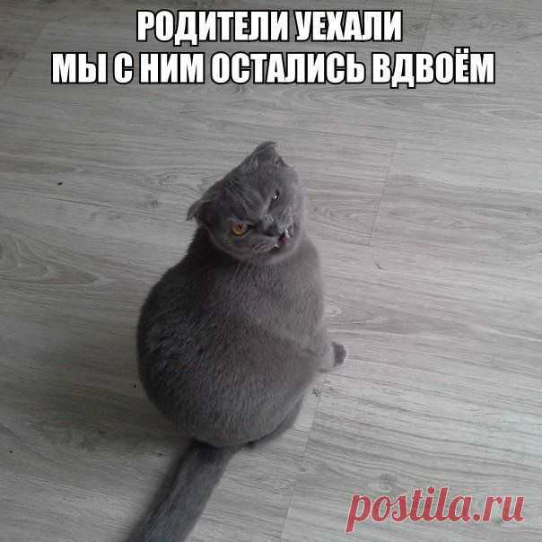 Всяко - разно 138 )))