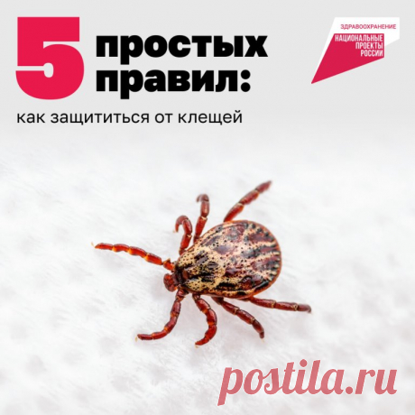 Внимание: сезон клещей начался!

Важно:

— клещи могут обитать практически везде, где есть растения и животные;
— не все они переносят инфекции, но лучше не рисковать.

В карточках — правила, которые помогут защититься от клещей на природе. Листайте!

А если вы всё же заметили впившегося клеща, обязательно обратитесь в ближайший фельдшерско-акушерский пункт — их открывают по всей стране благодаря нацпроекту «Здравоохранение».

#нацпроекты #нацпроектздравоохранение #здоровь...