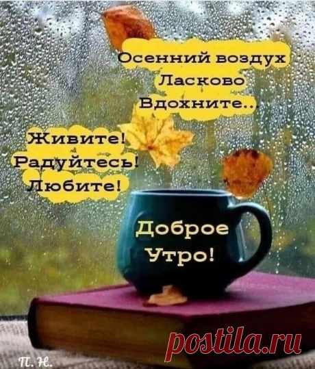 Открытка Доброе утро! Живите,радуйтесь,любите!