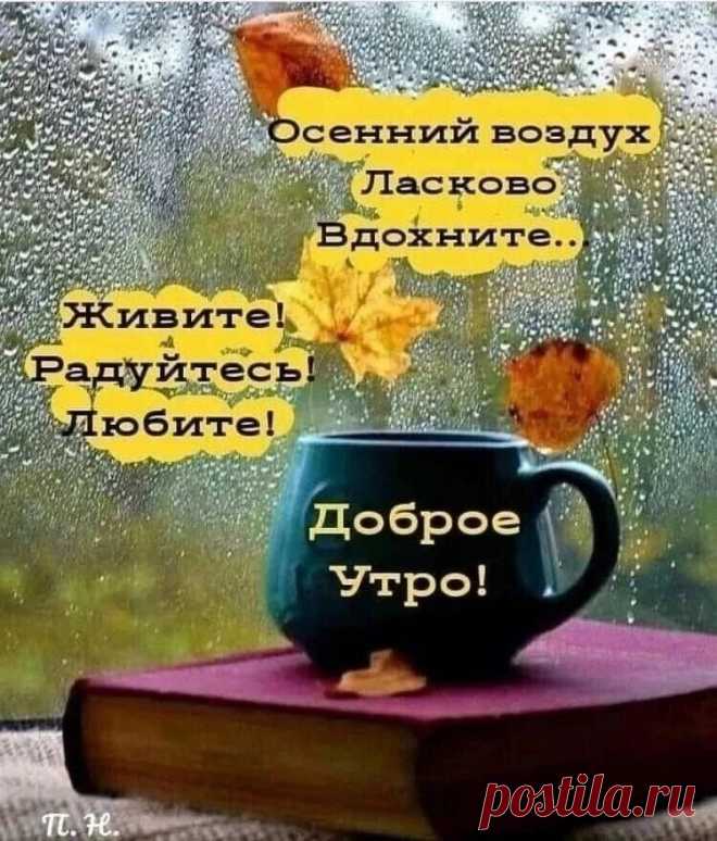 Открытка Доброе утро! Живите,радуйтесь,любите!
