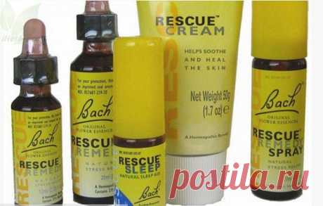 Wall | VK
Цветы Баха лечат эмоции...
Терапия с помощью оригинальных цветочных эссенций Баха.
☀ помогает при стрессах, переживаниях и эмоциональных перегрузках
☀ смягчает и уменьшает эмоциональные переживания
☀ корректирует поведенческие реакции
☀ способствует повышению устойчивости к стрессам и депрессивным состояниям
☀ обеспечивают активизацию механизмов саморегуляции организма
☀ создает эмоциональную стабильность.