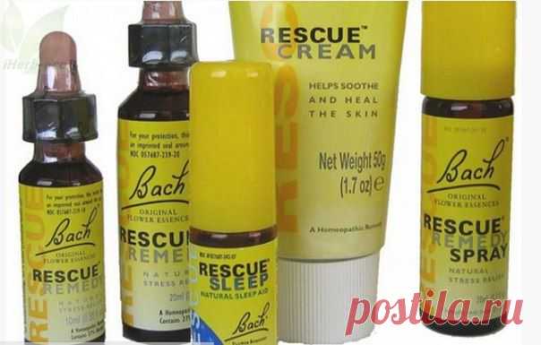 Wall | VK
Цветы Баха лечат эмоции...
Терапия с помощью оригинальных цветочных эссенций Баха.
☀ помогает при стрессах, переживаниях и эмоциональных перегрузках
☀ смягчает и уменьшает эмоциональные переживания
☀ корректирует поведенческие реакции
☀ способствует повышению устойчивости к стрессам и депрессивным состояниям
☀ обеспечивают активизацию механизмов саморегуляции организма
☀ создает эмоциональную стабильность.