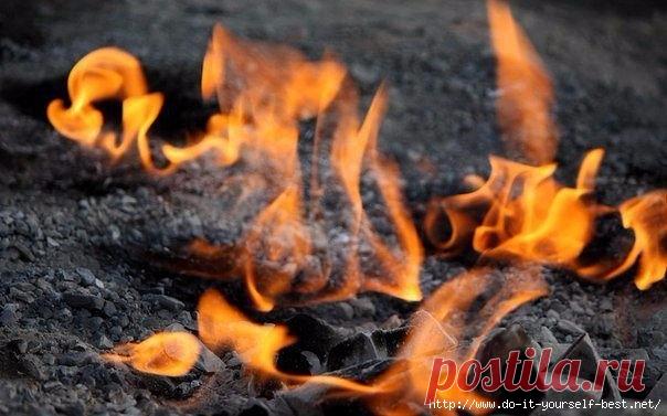 Зола и ее лечебные свойства.