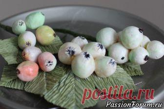 Как сделать Снежноягодник своими руками - запись пользователя Anna Makes Flowers (Анна) в сообществе Прочие виды рукоделия в категории Флористика, топиарии