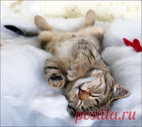 Приятных сновидений)