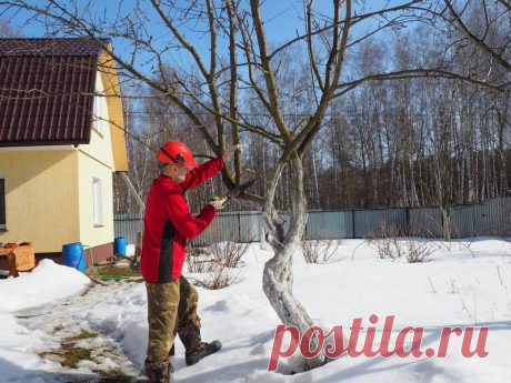 Календарь огородника на март | 6 соток