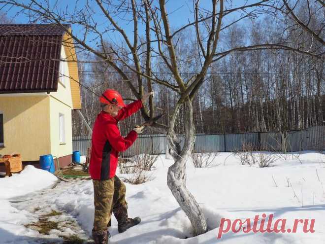 Календарь огородника на март | 6 соток