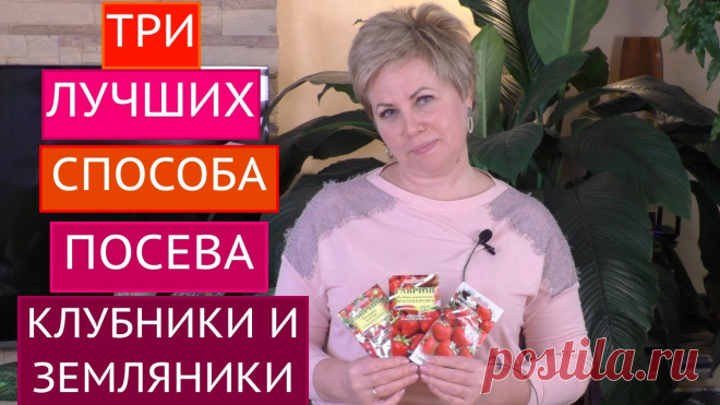ТРИ СУПЕР СПОСОБА ПОСЕВА ЗЕМЛЯНИКИ И КЛУБНИКИ! ВСХОДЫ ОБЕСПЕЧЕНЫ!