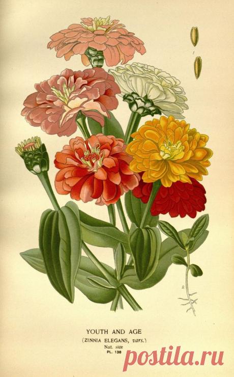 Найдено на сайте flickr.com.