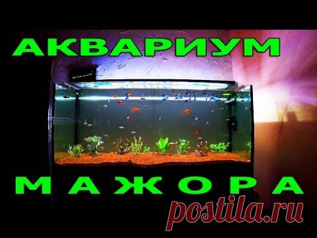 Растения с теплицы вымахали впятеро за 30 дней - YouTube